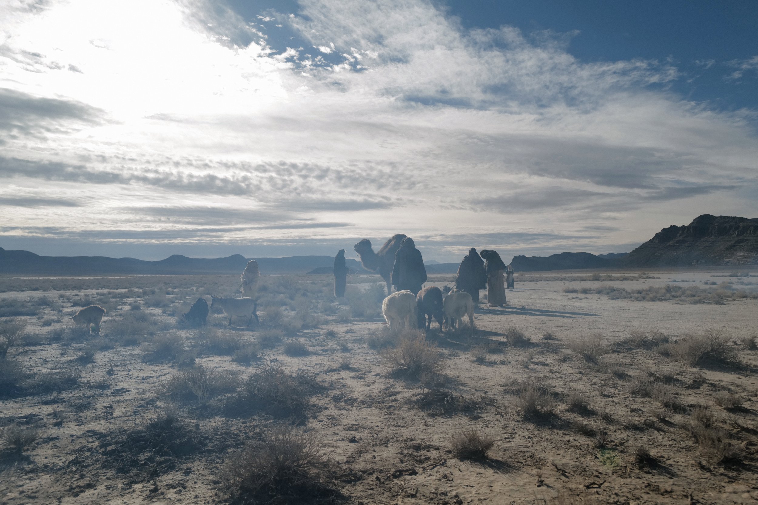 L1230731.JPG