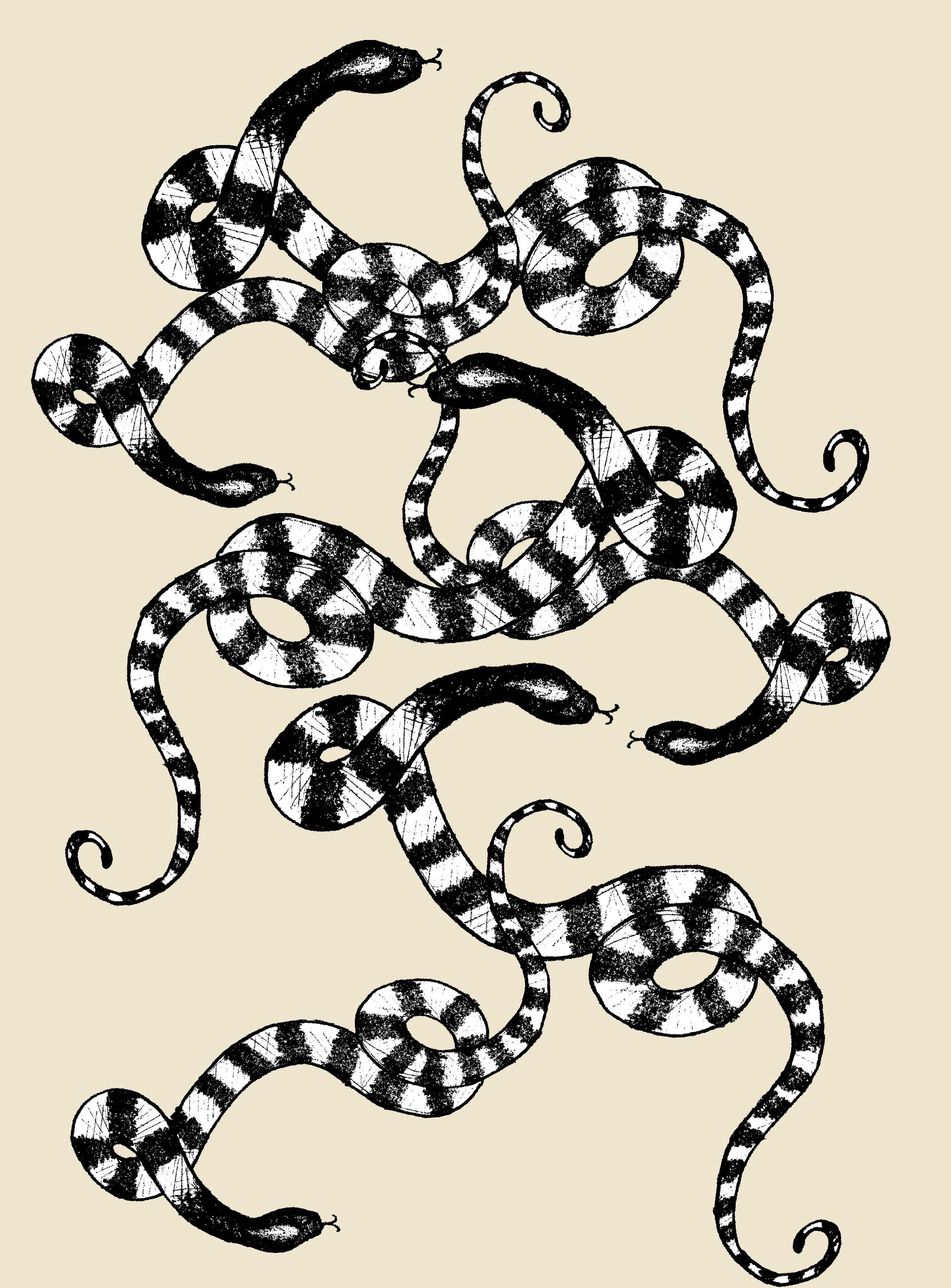 snake rug 3 INDEXED.jpg