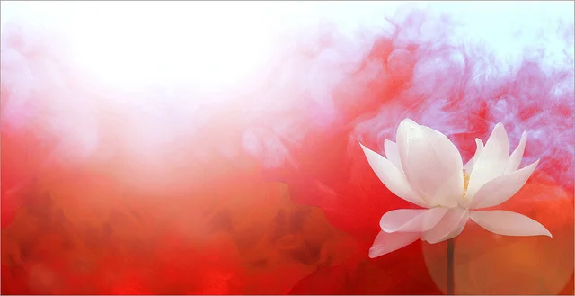 lotus.jpg