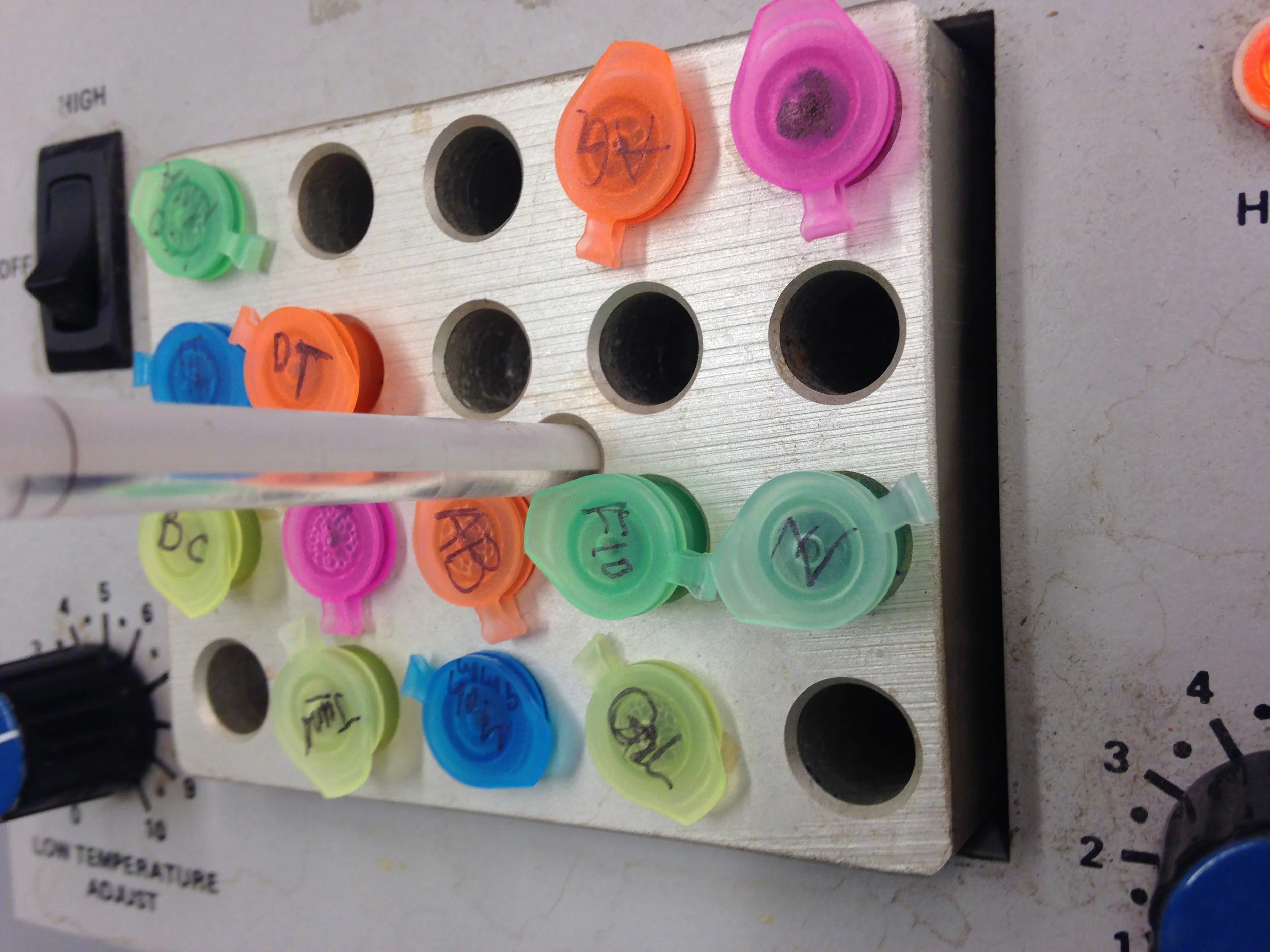 tubes in heat block.jpg
