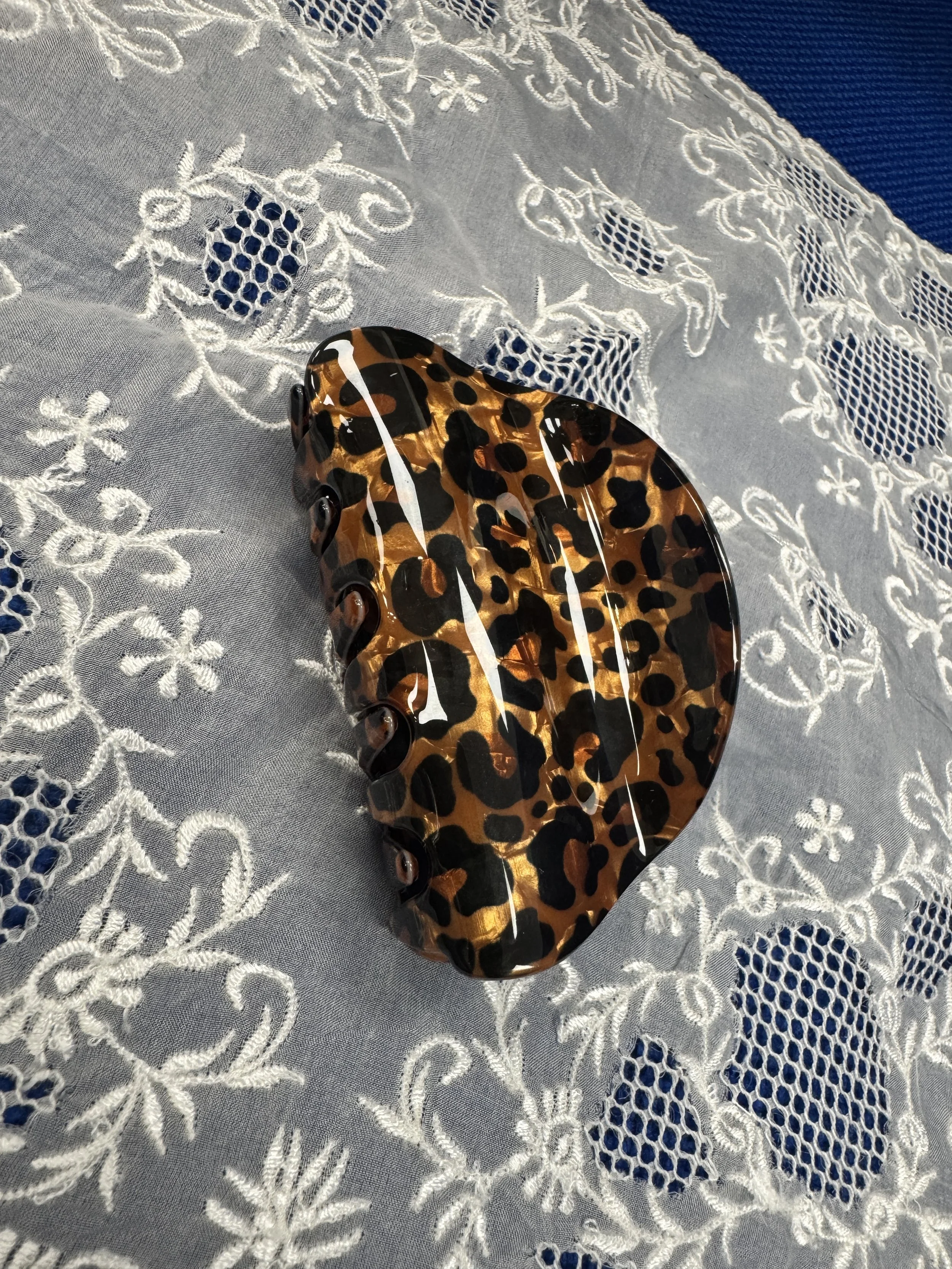 Cheetah (2).jpg