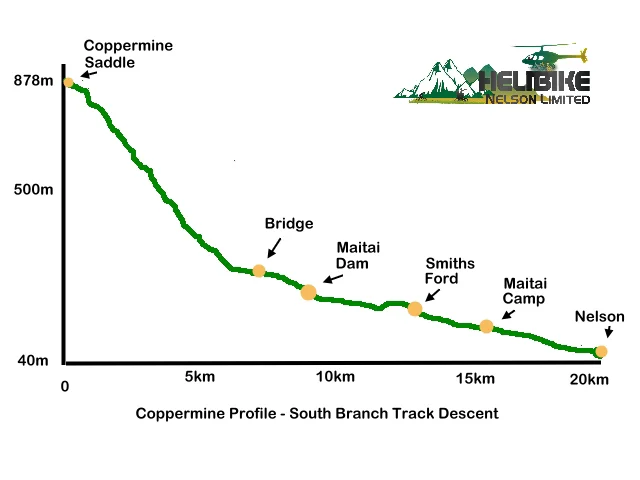 Copermine South Branch Profile_0.jpg