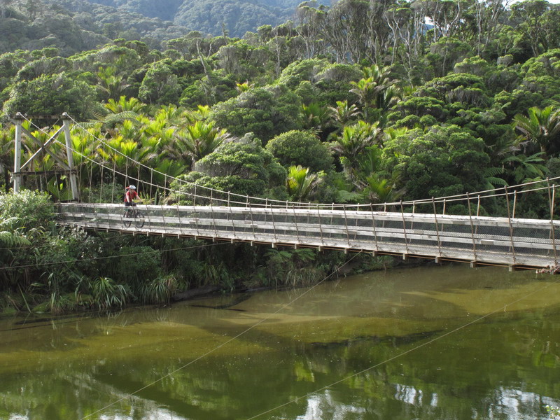 Heaphy Bridge 3_resize.jpg