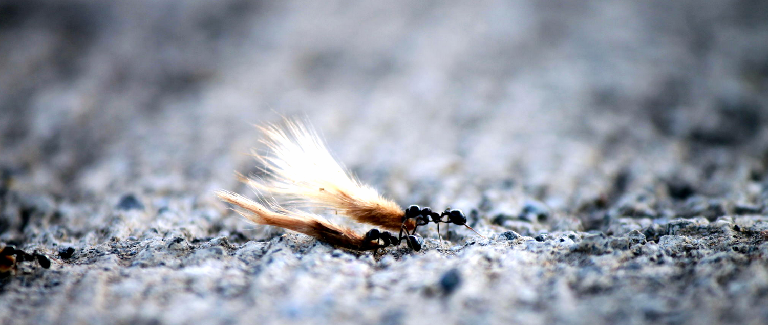 Screenshot 2015-02-04 17.13.07.png