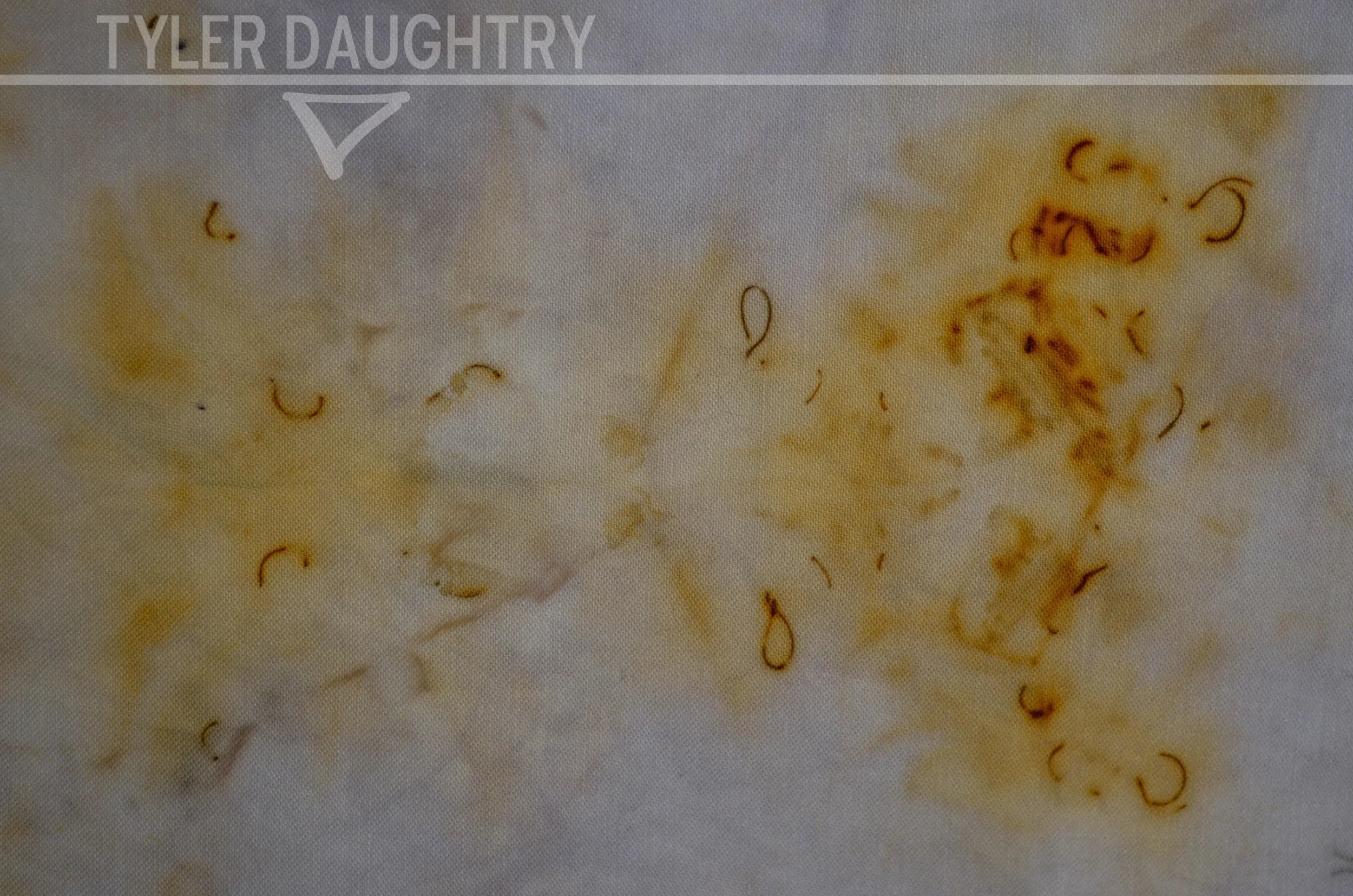 TDDBT-02 studio rust flat (5 of 5) watermark.jpg