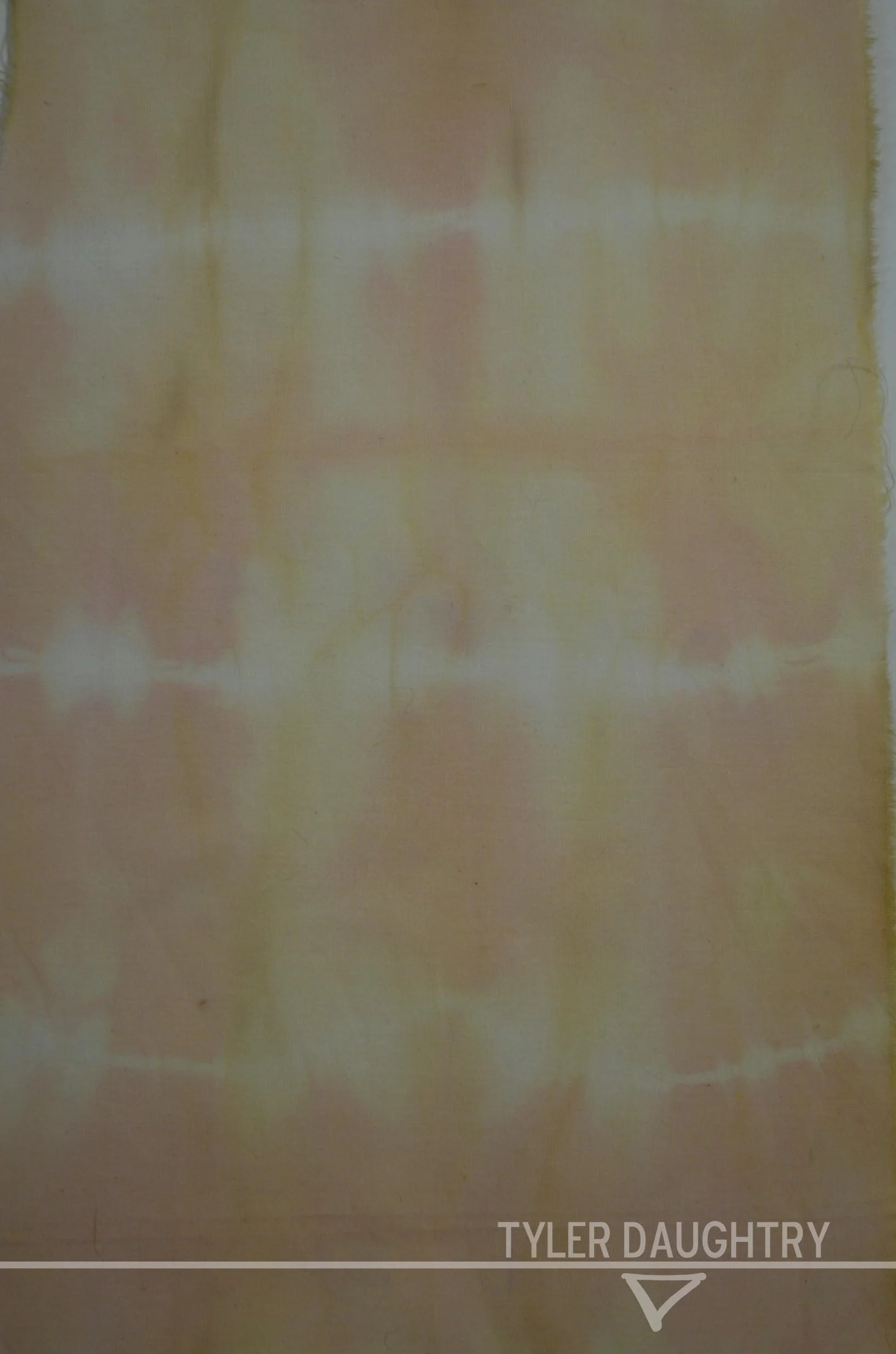 TDDCDITS-01 zoom 2 watermark.jpg