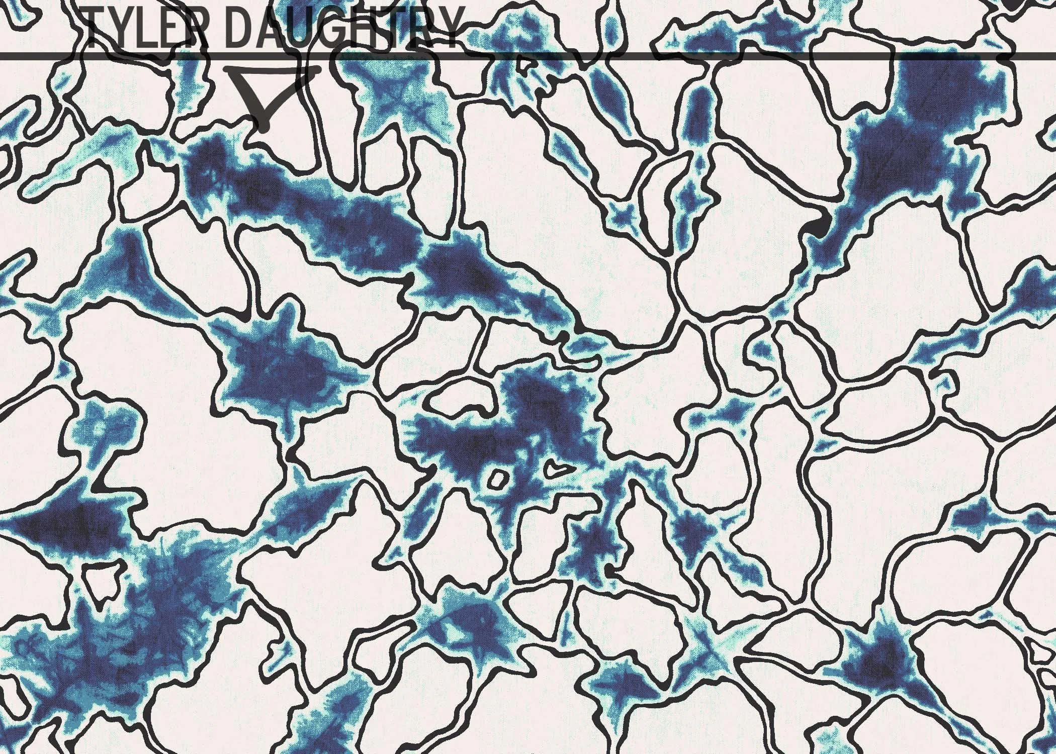 TDDDSOTM-02 C1 watermark.jpg