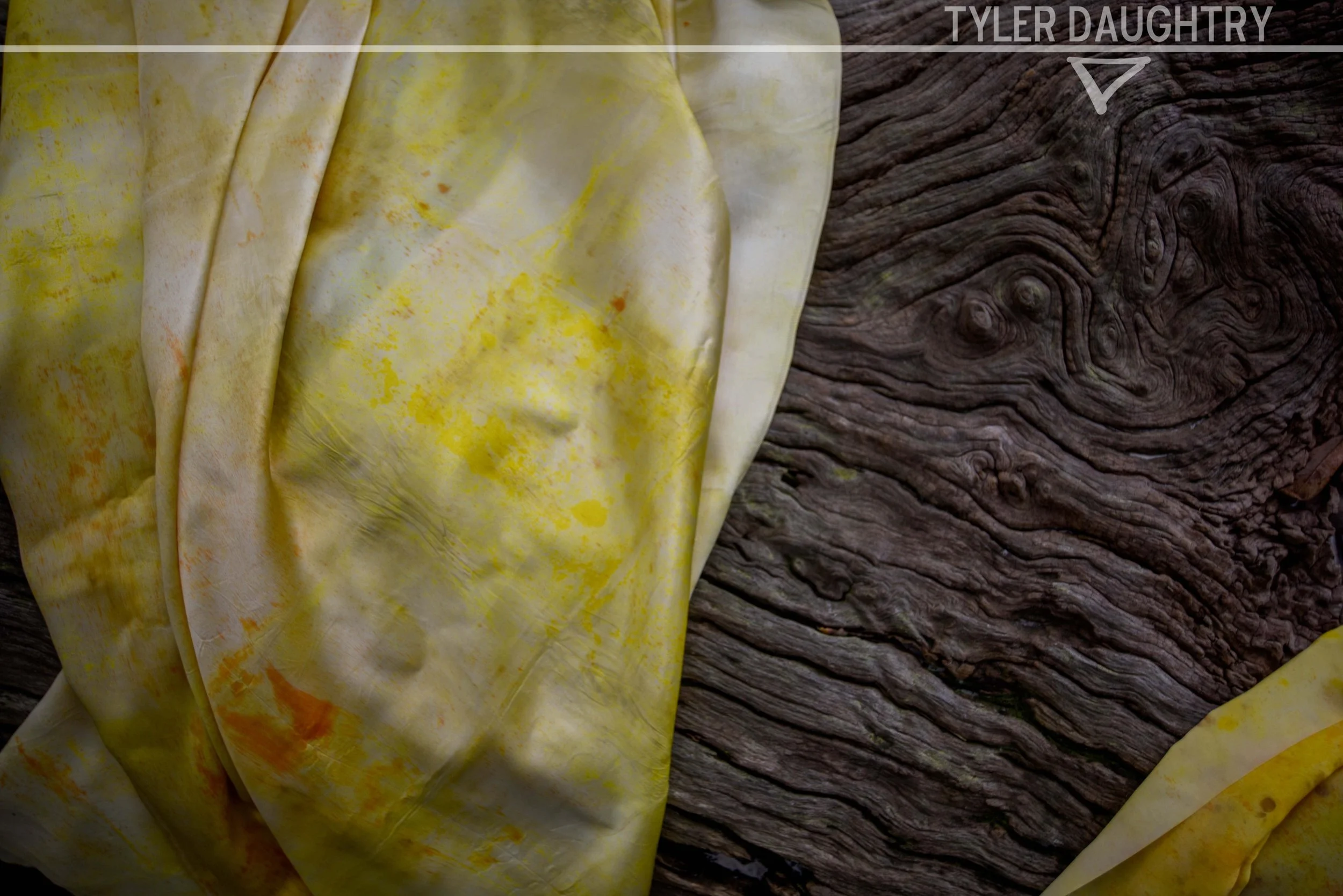 TDDF-02 outside yelloworange (1 of 1) watermark.jpg