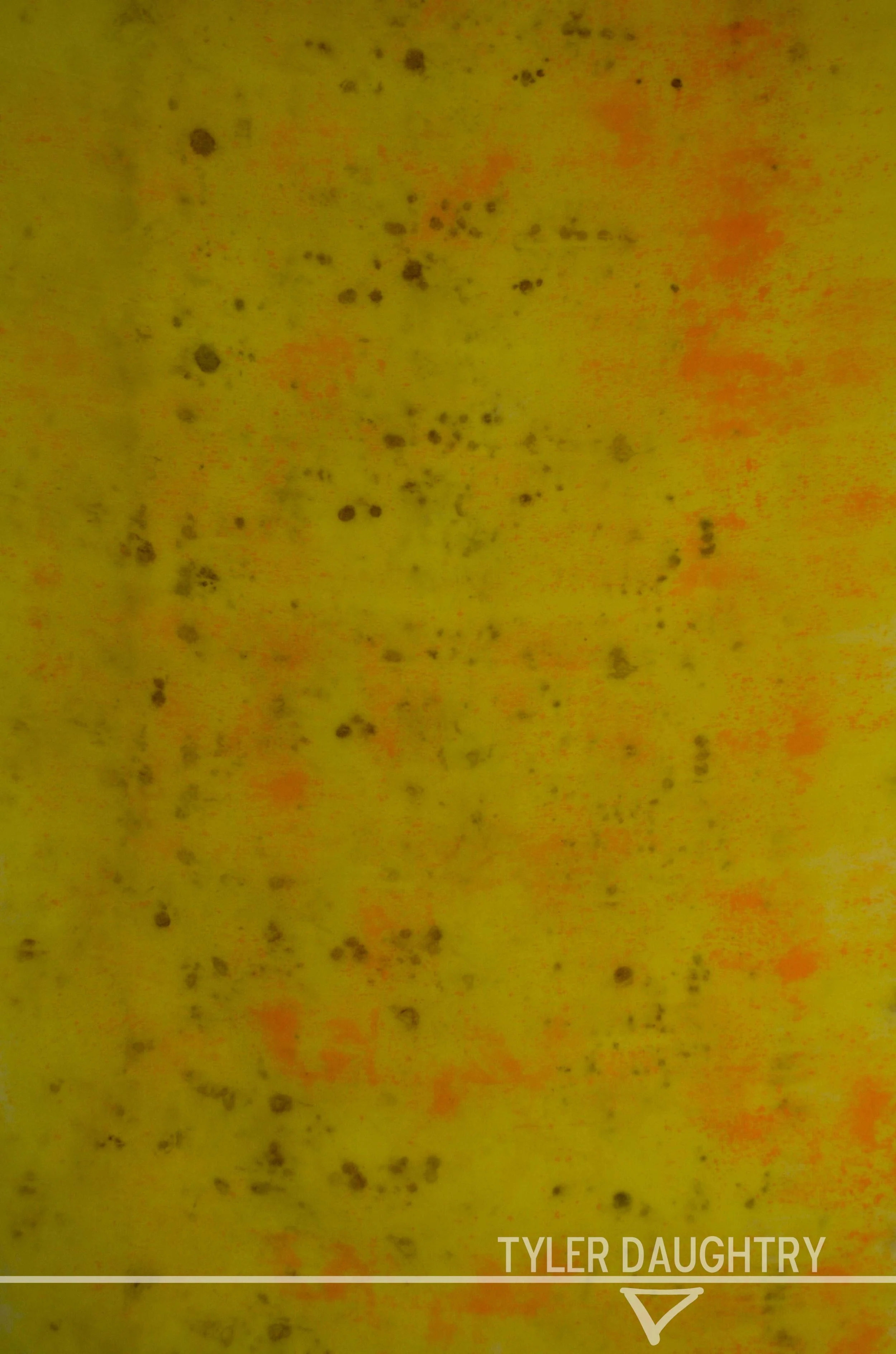 TDDF-03 studio yellowsmall flat (2 of 8) watermark.jpg