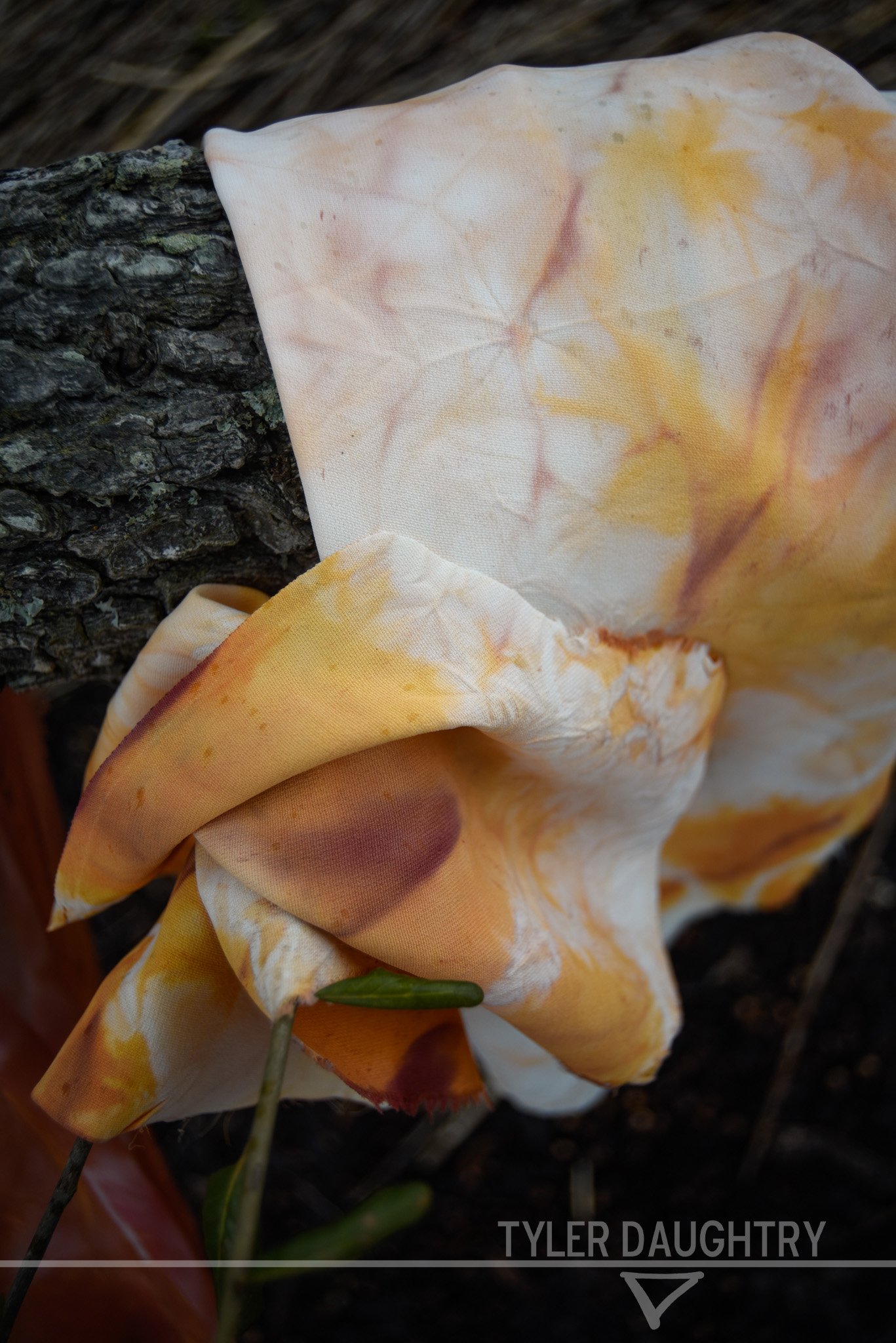 TDDISF-01 OUTSIDE 1-2 watermark.jpg