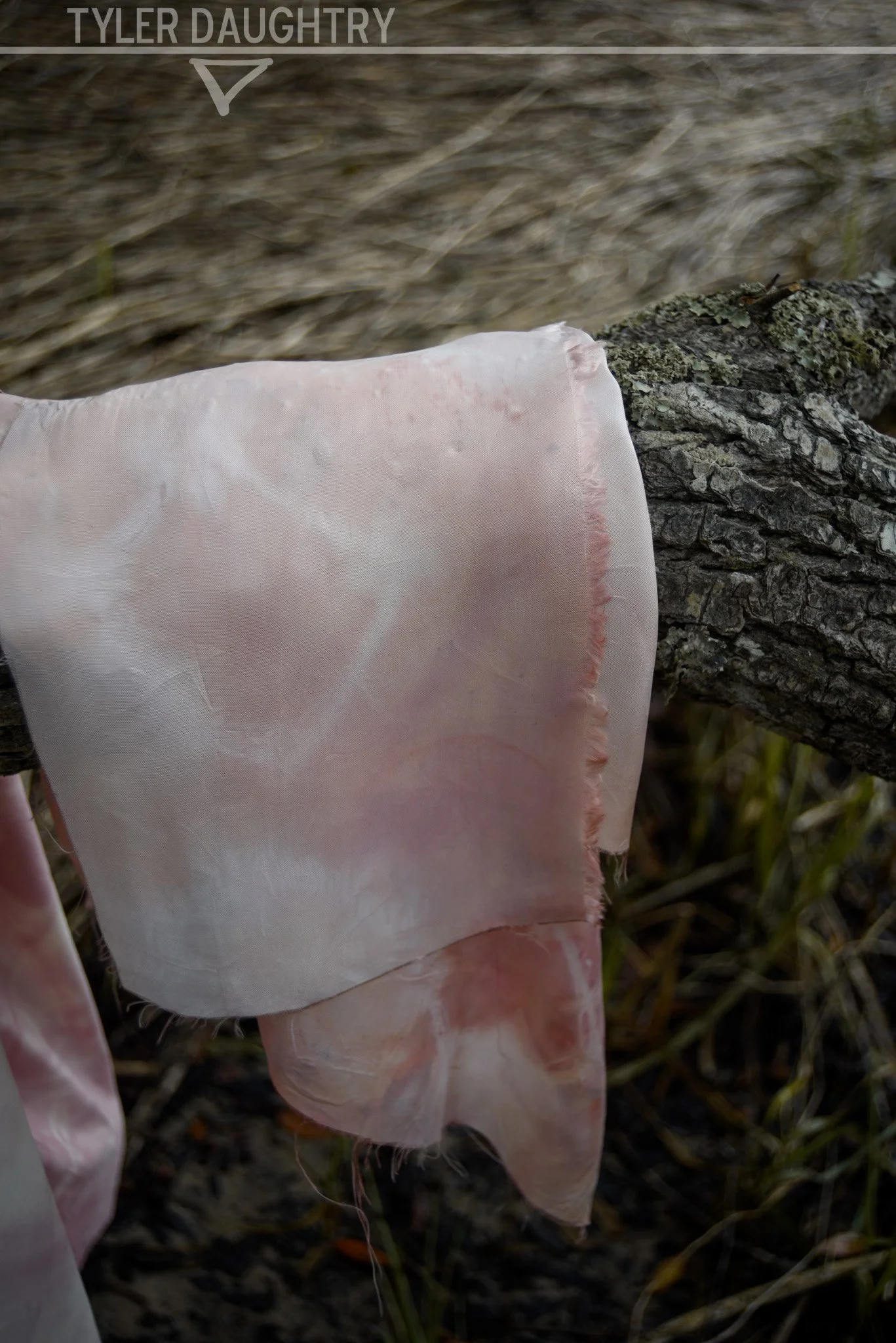 TDDISF-02 OUTSIDE 2-2 watermark.jpg