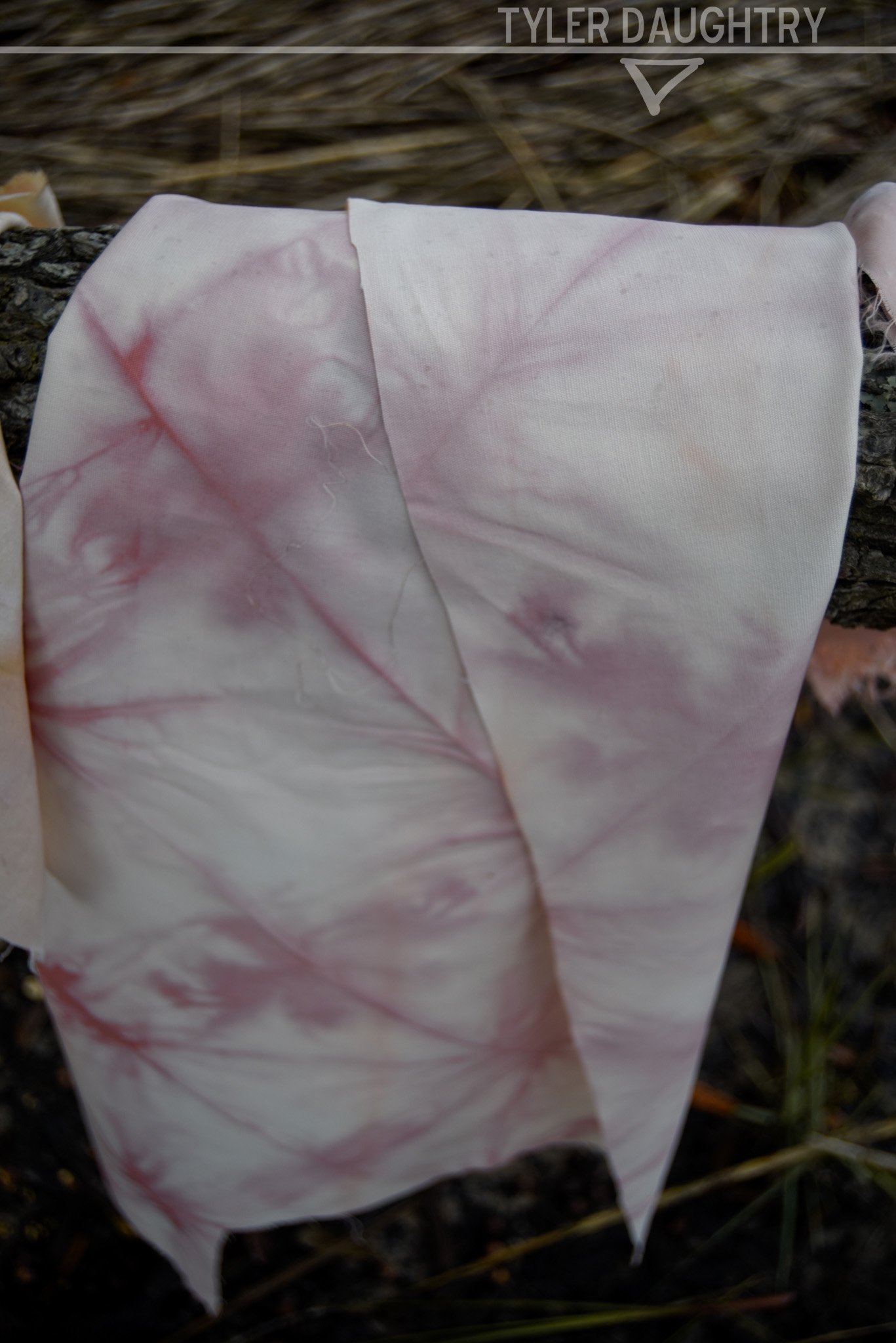 TDDISF-03 OUTSIDE 1-2 watermark.jpg