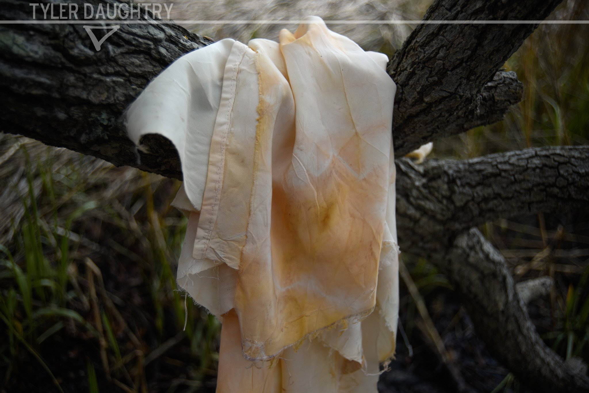 TDDISF-04 OUTSIDE 2-2 watermark.jpg