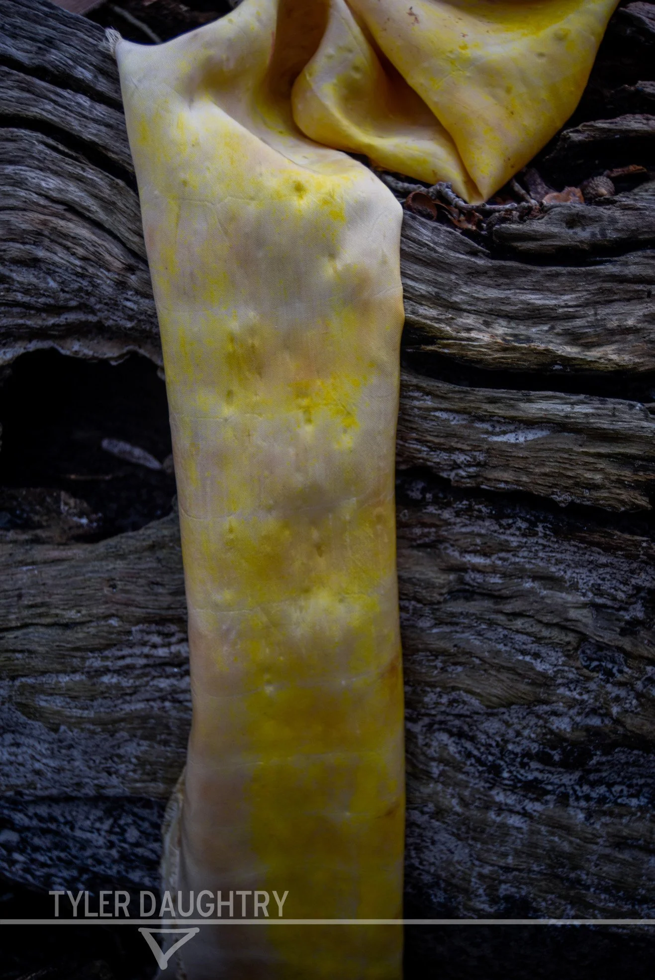 TDDLOF-04 outside yellow (2 of 2)-2 watermark.jpg