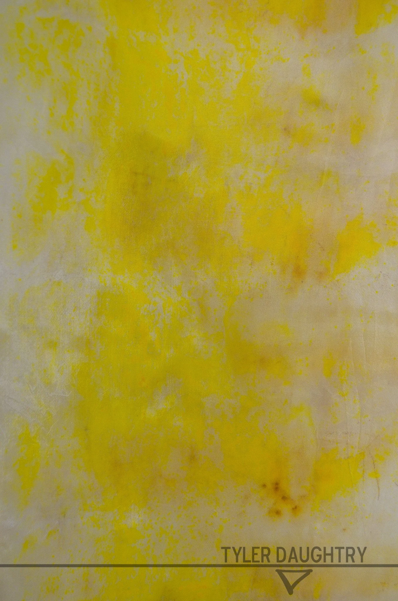 TDDLOF-04 studio yellow flat (4 of 5)-2 watermark.jpg