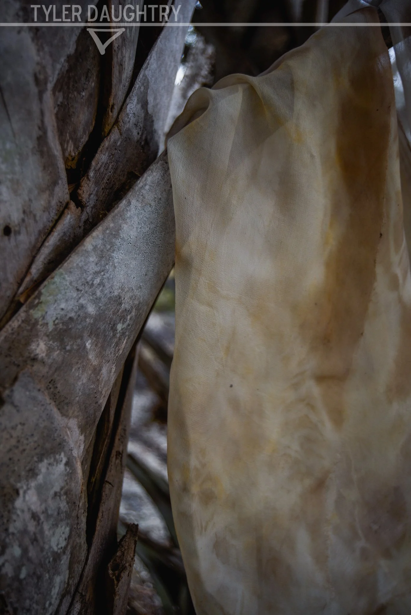 TDDL-01 outside brown (1 of 1)-2 watermark.jpg