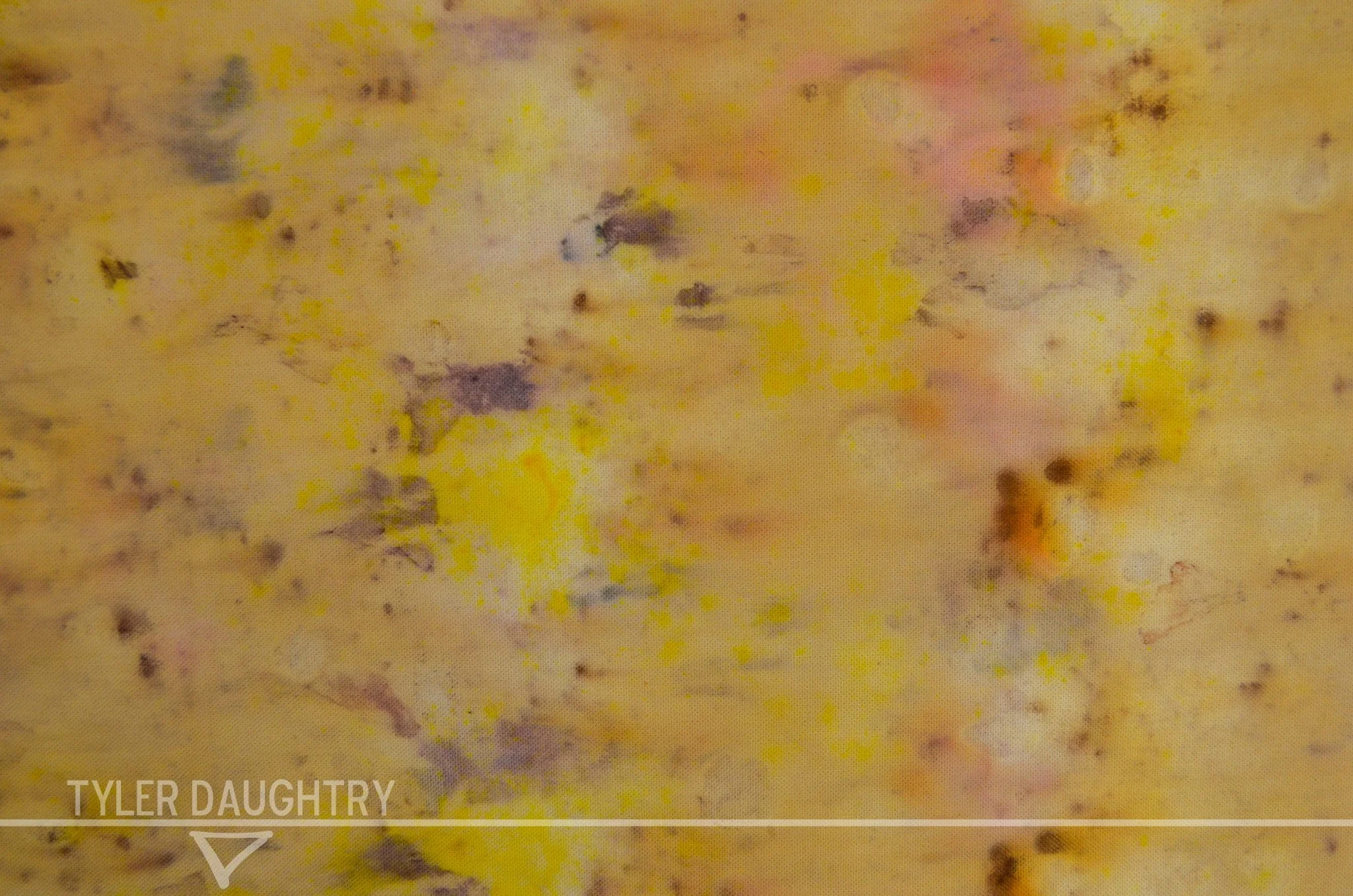 TDDM2-02 studio yellow flat (3 of 6)-2 watermark.jpg