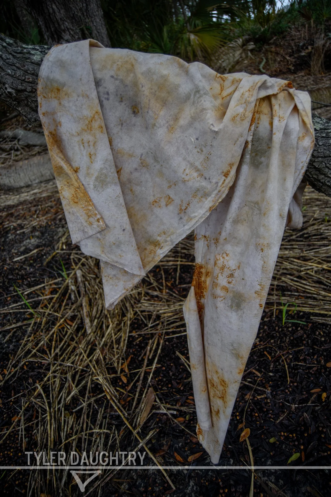 TDDOE-01 outside rectangle  (1 of 5)-2 watermark.jpg