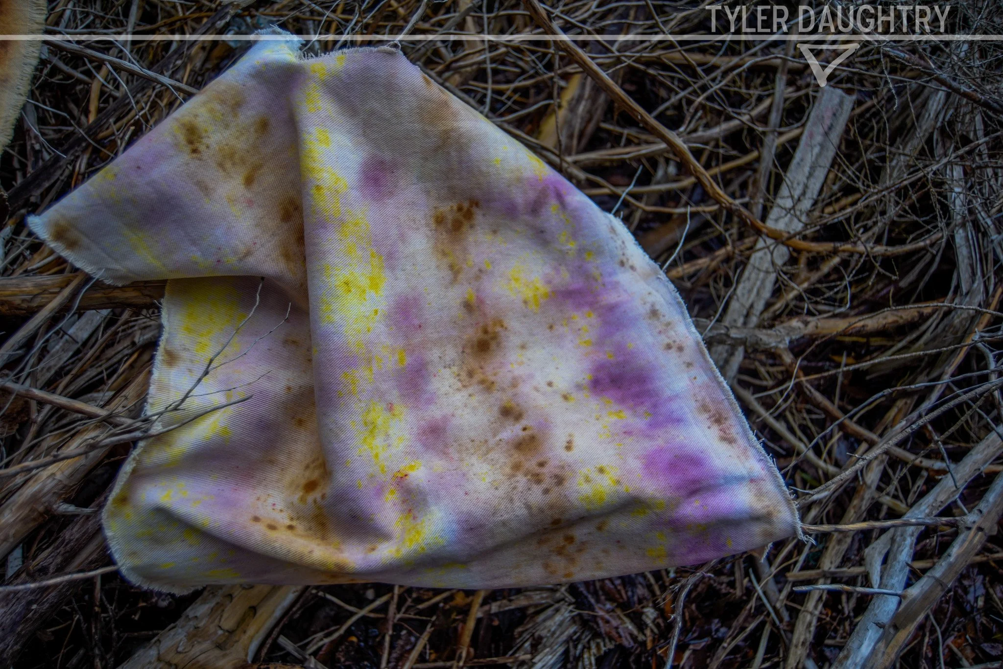TDDOB-02 outside purple full-1-2 watermark.jpg