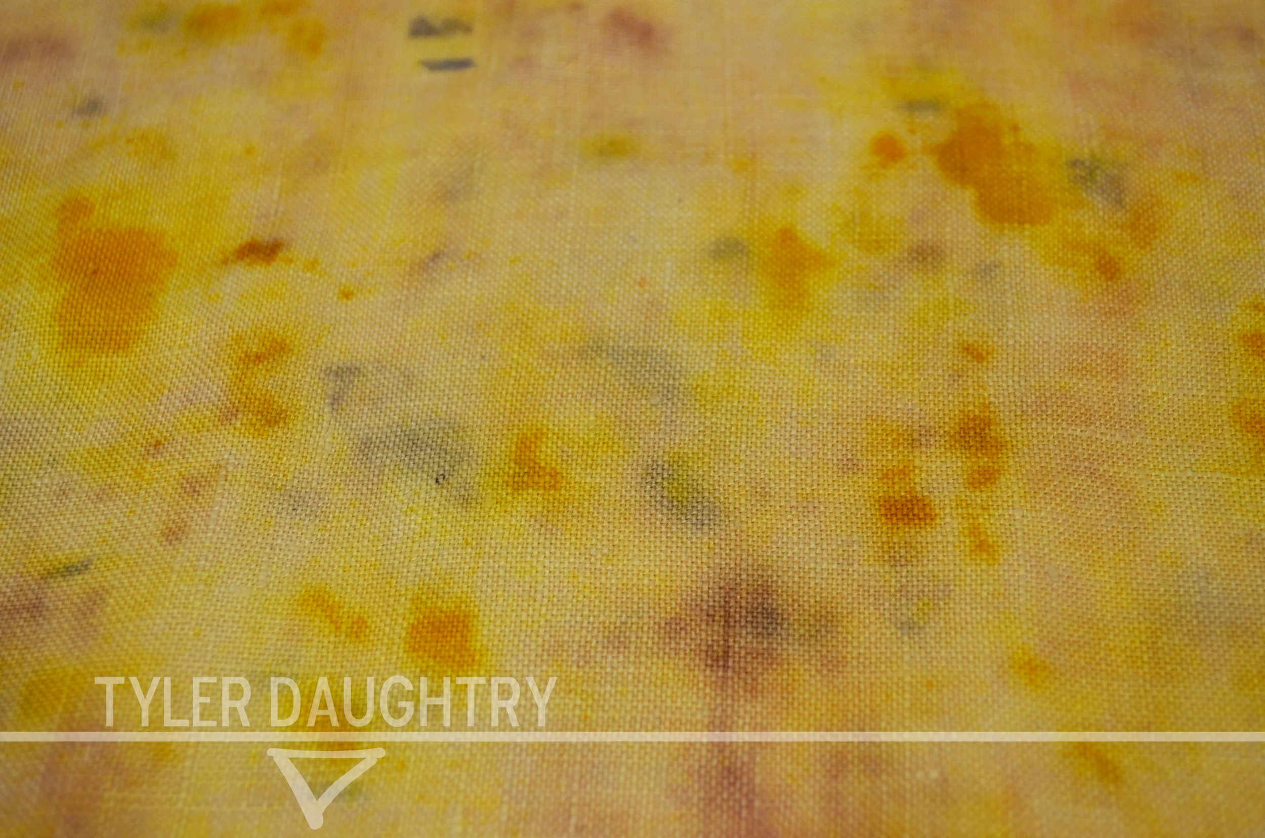 TDDSIS-01 studio flat detail 2 watermark.jpg