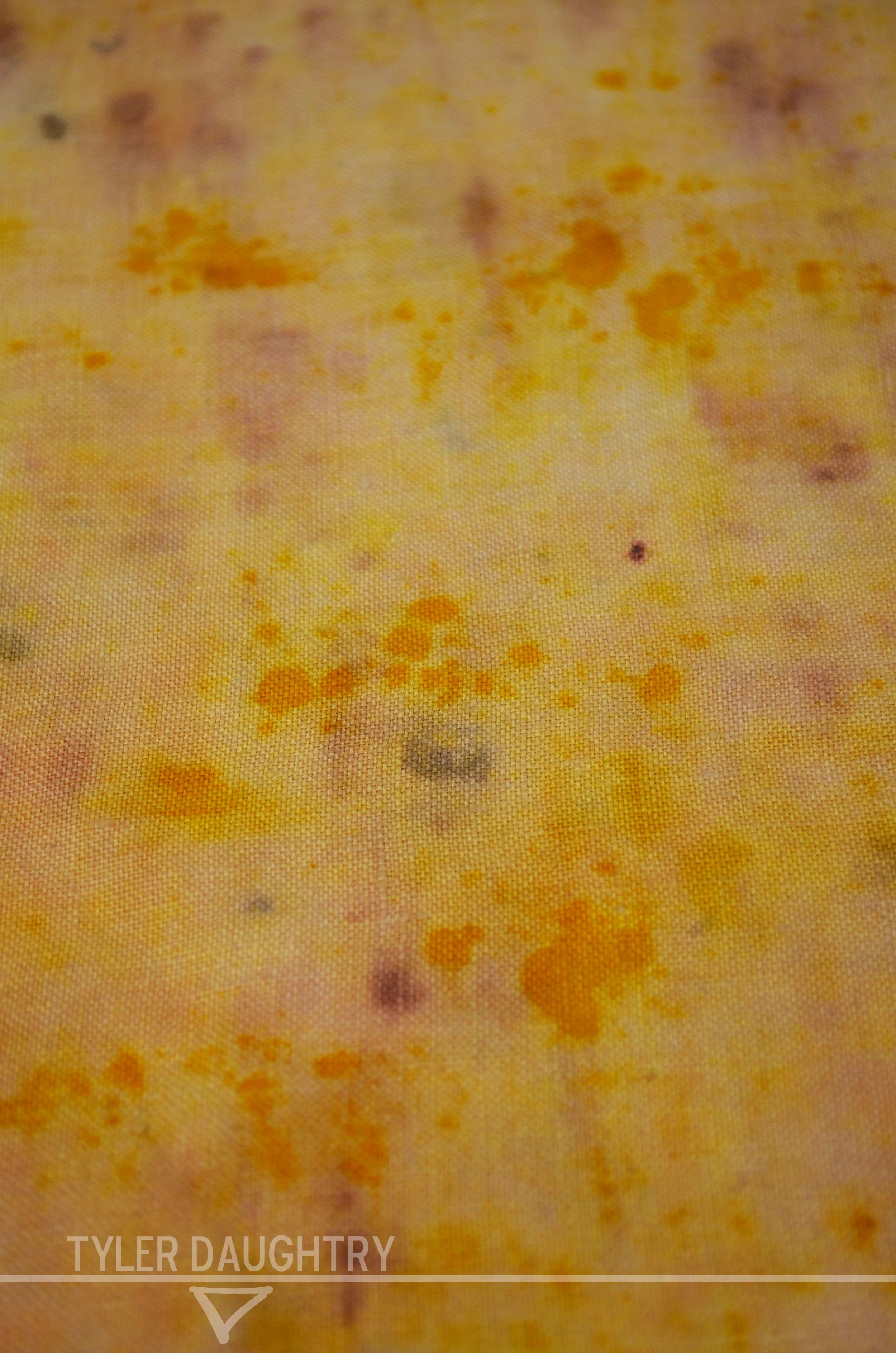 TDDSIS-01 studio flat detail 13 watermark.jpg