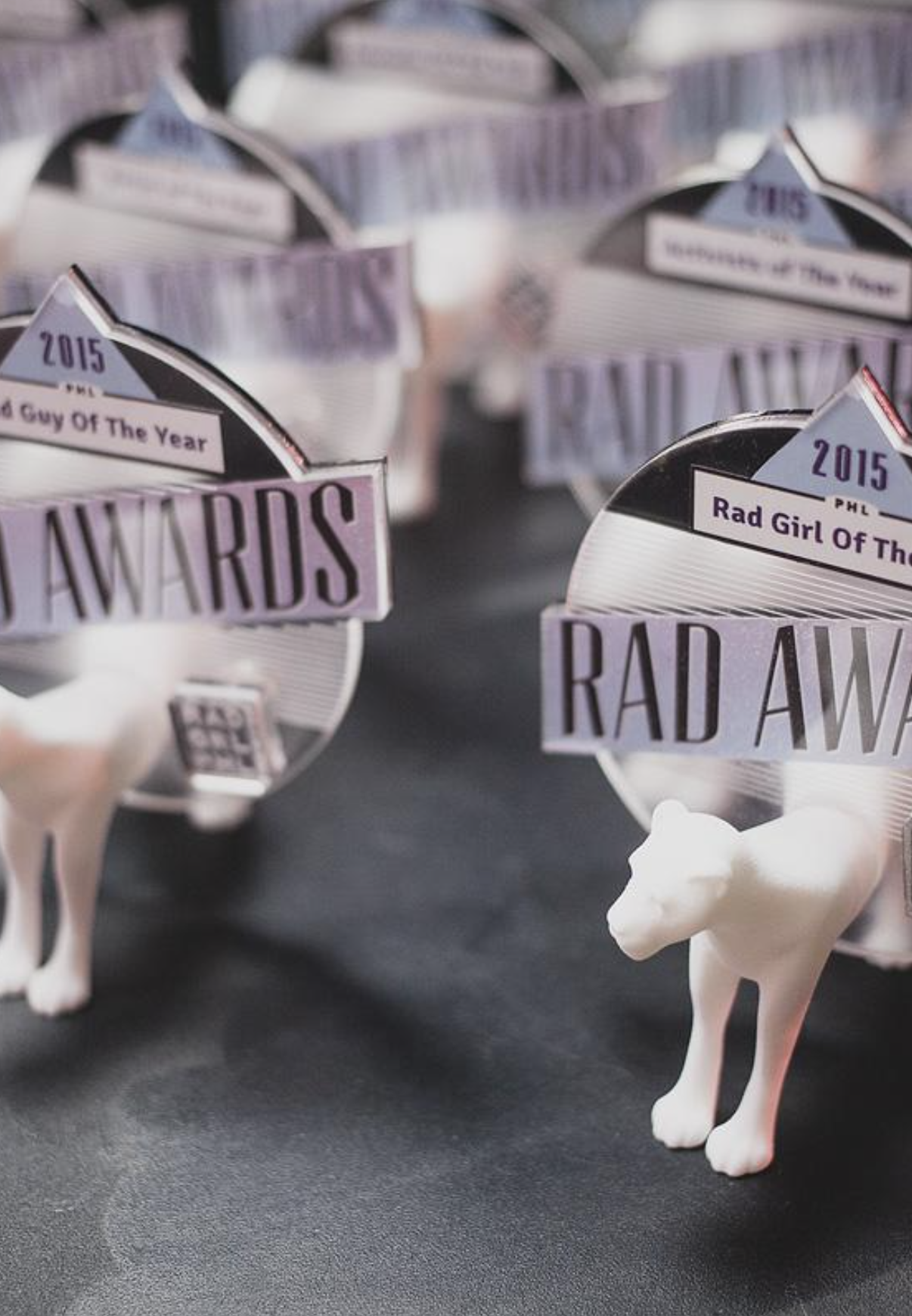 2018 Rad Awards Nominee