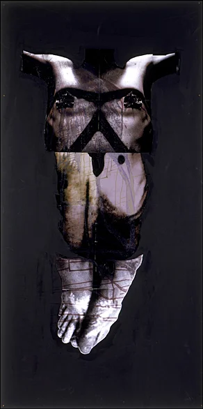 Ballerina- 96x48 in; inkjet on masonite with paint, resin, staples; 2002