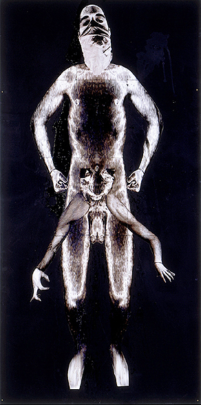 Solarised Body- 96x48 in; inkjet on masonite with paint, resin, tape; 2002
