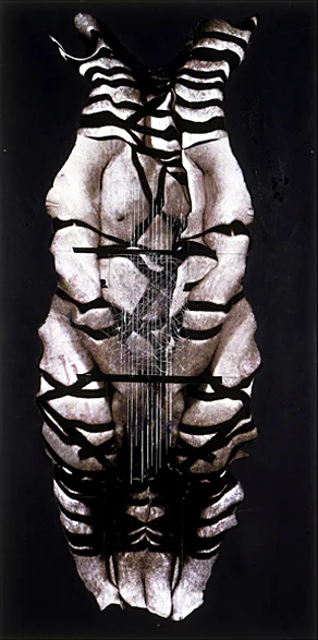 Carnevale- 96x48 in; inkjet on masonite with paint, resin, tape; 2002