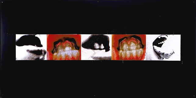 Mouths- 48x96 in; inkjet on masonite with paint, resin, tape; 2002 - Private Collection