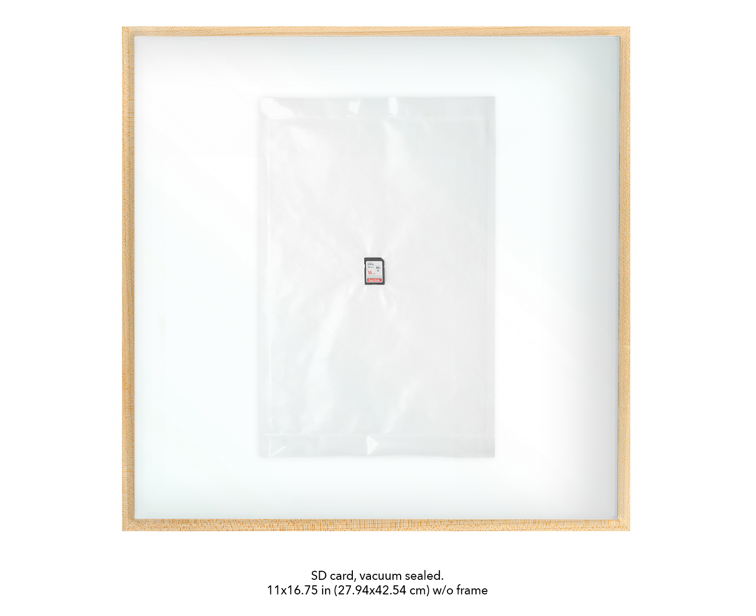 evidence bags w info for site slideshow SD Card.png