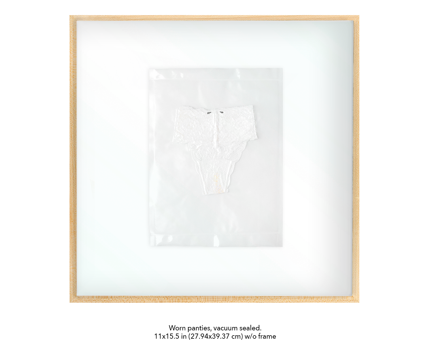 evidence bags w info for site slideshow Panties.png