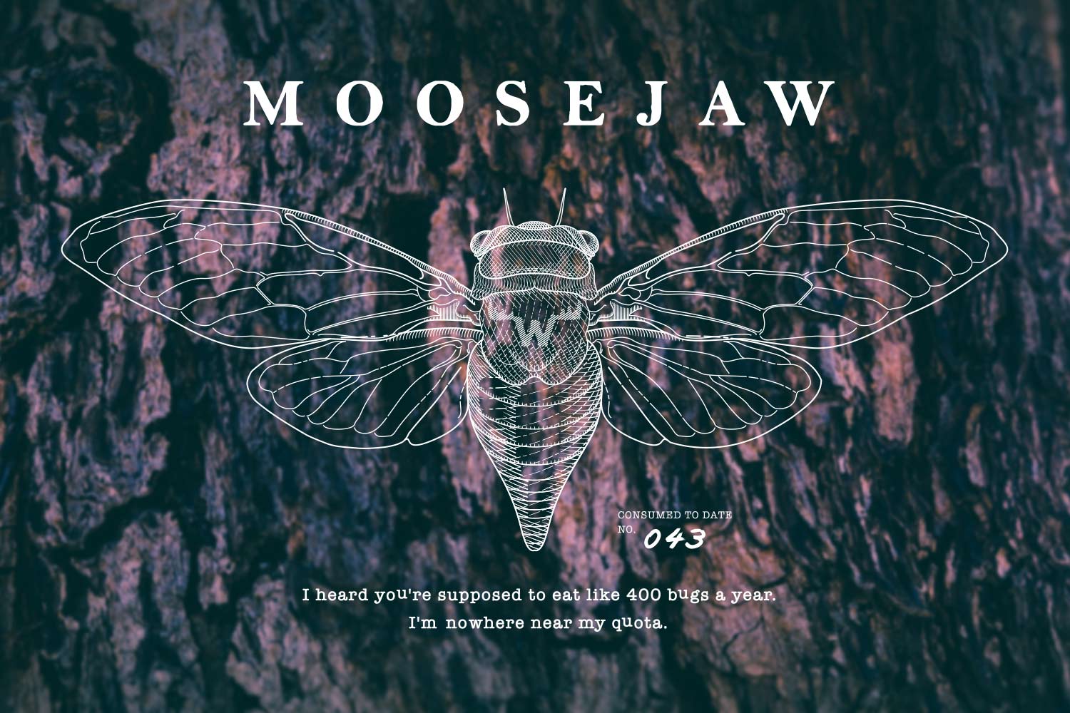 pollauf-moosejaw-illustration-tee-cicada-a.jpg