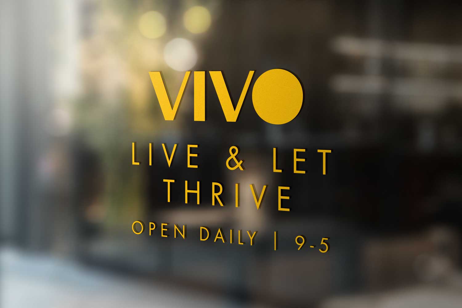 Vivo Window