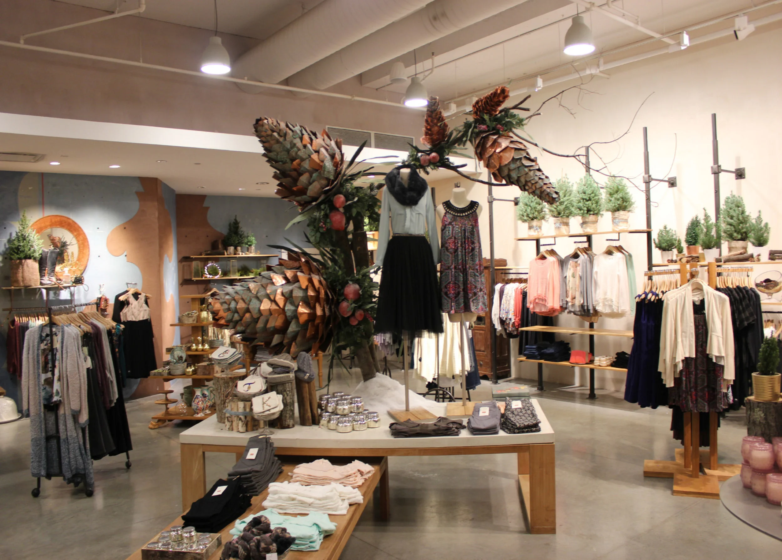 pine cone display.jpg