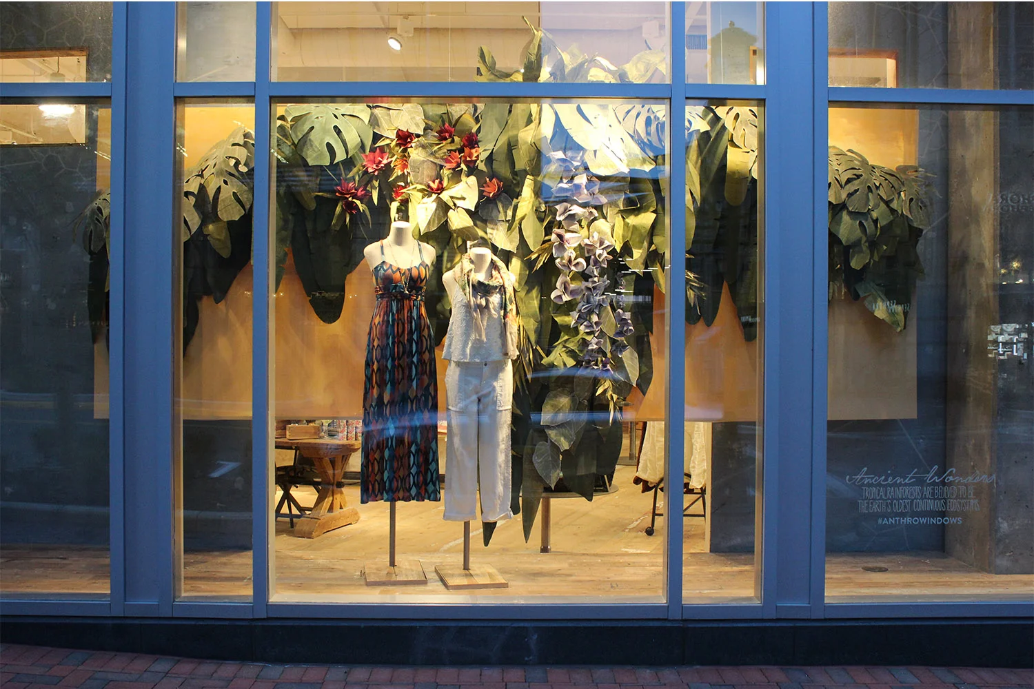 pineconedisplay2_0014_earth_day_anthropologie_spring_window_design.jpg