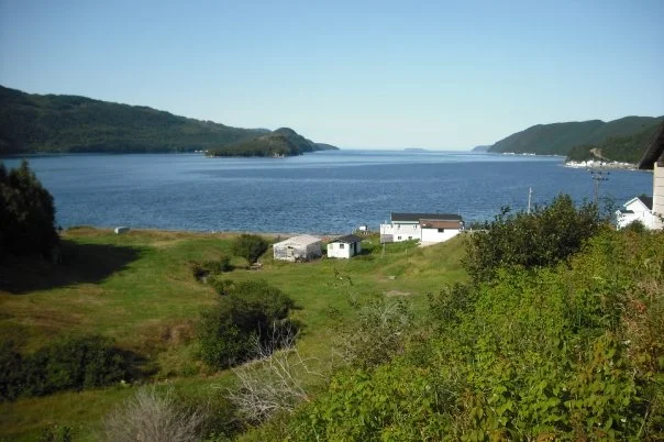 The Bay.jpg