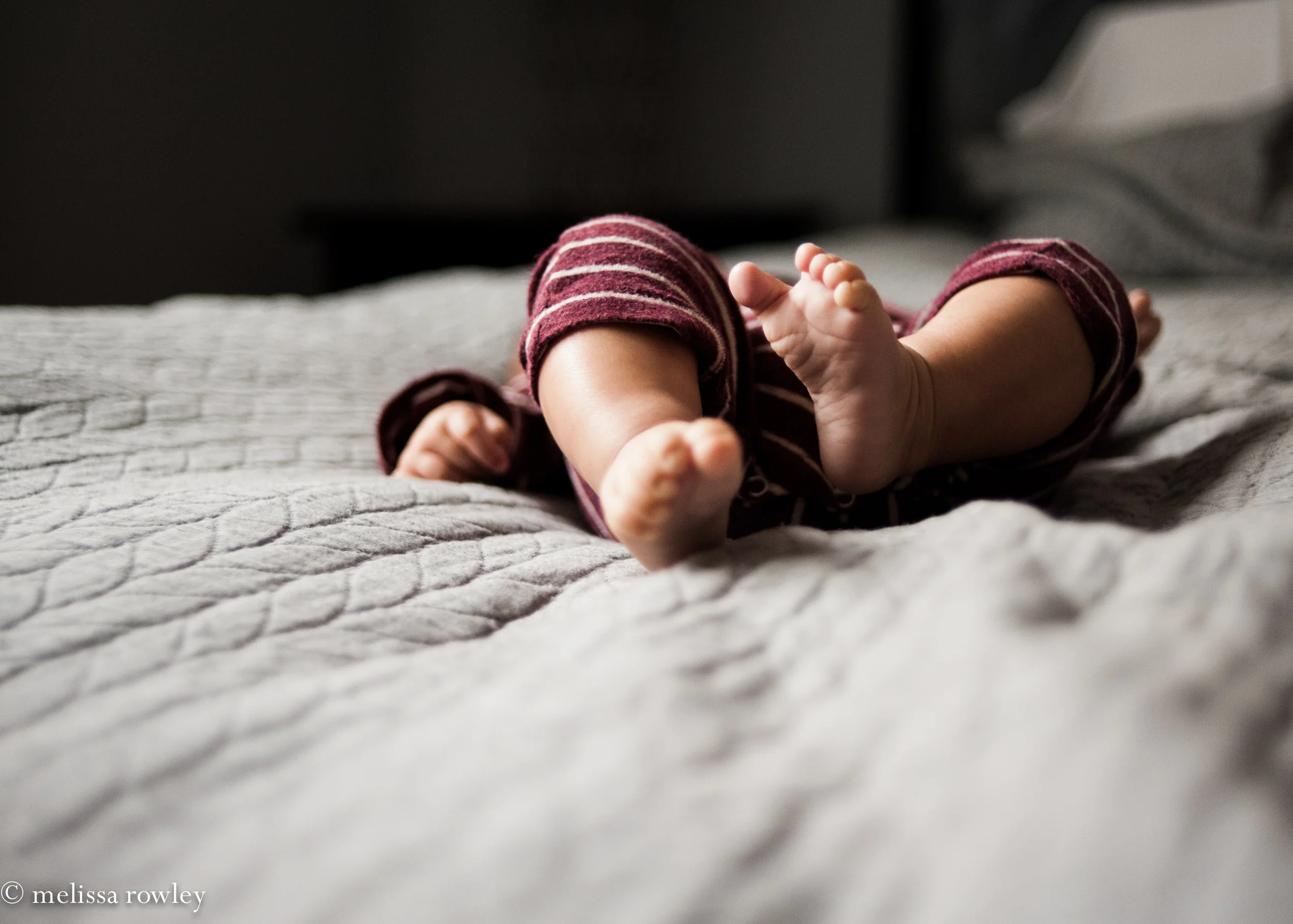 DSC_9725-Edit-2.jpg