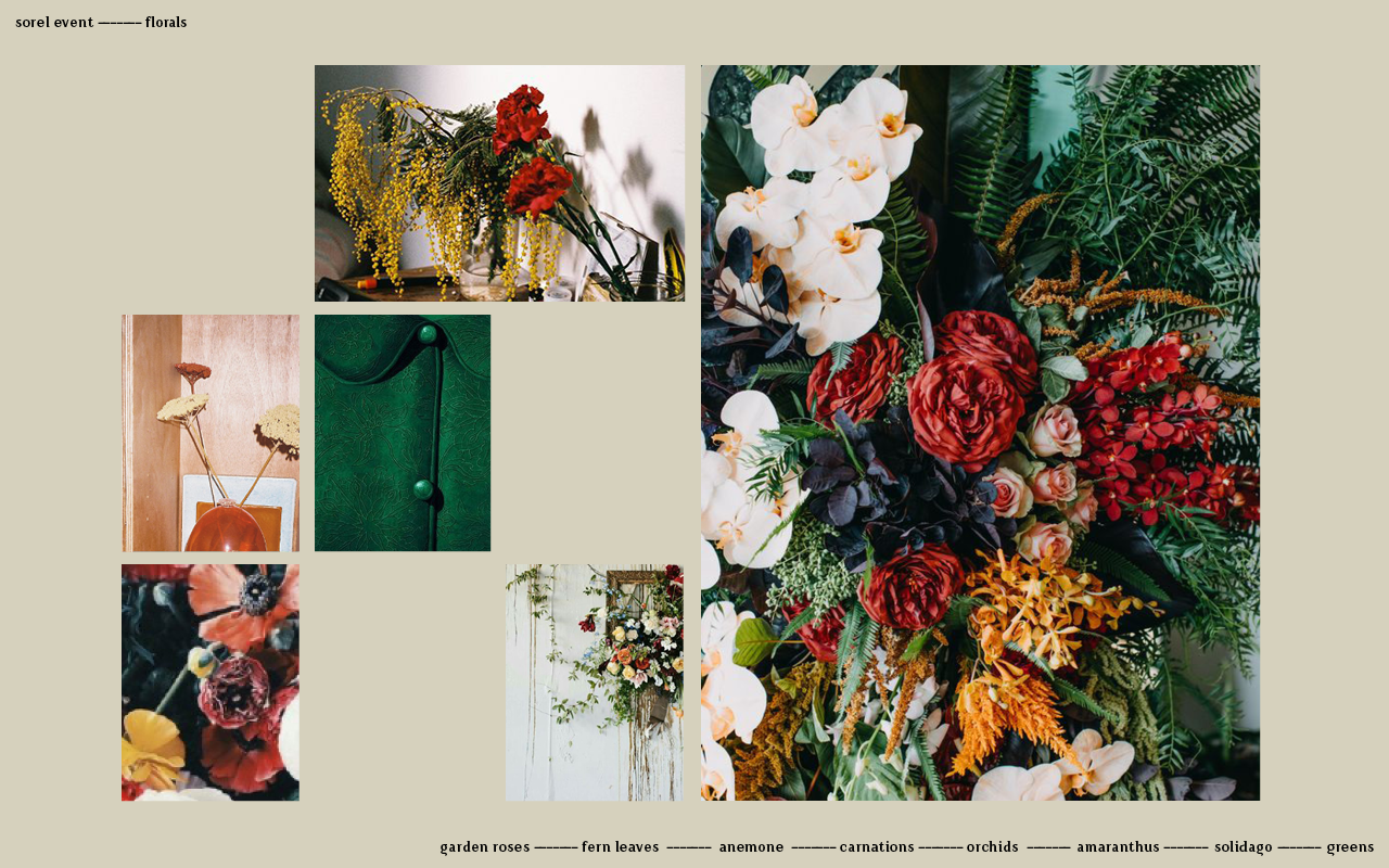 Sorel Mood Board3.png