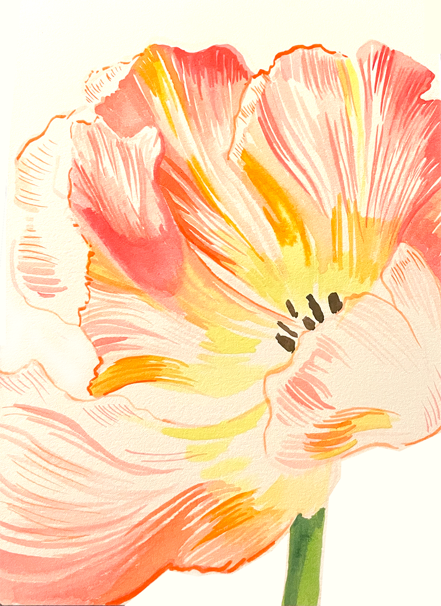 Tulips_Watercolor_Sm.png
