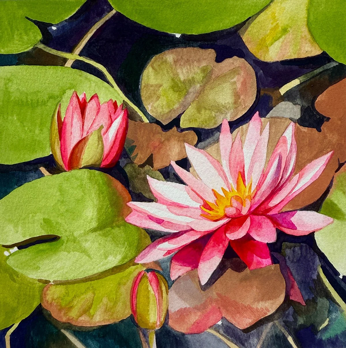 Waterlilies_JGriffin_Sm.jpg