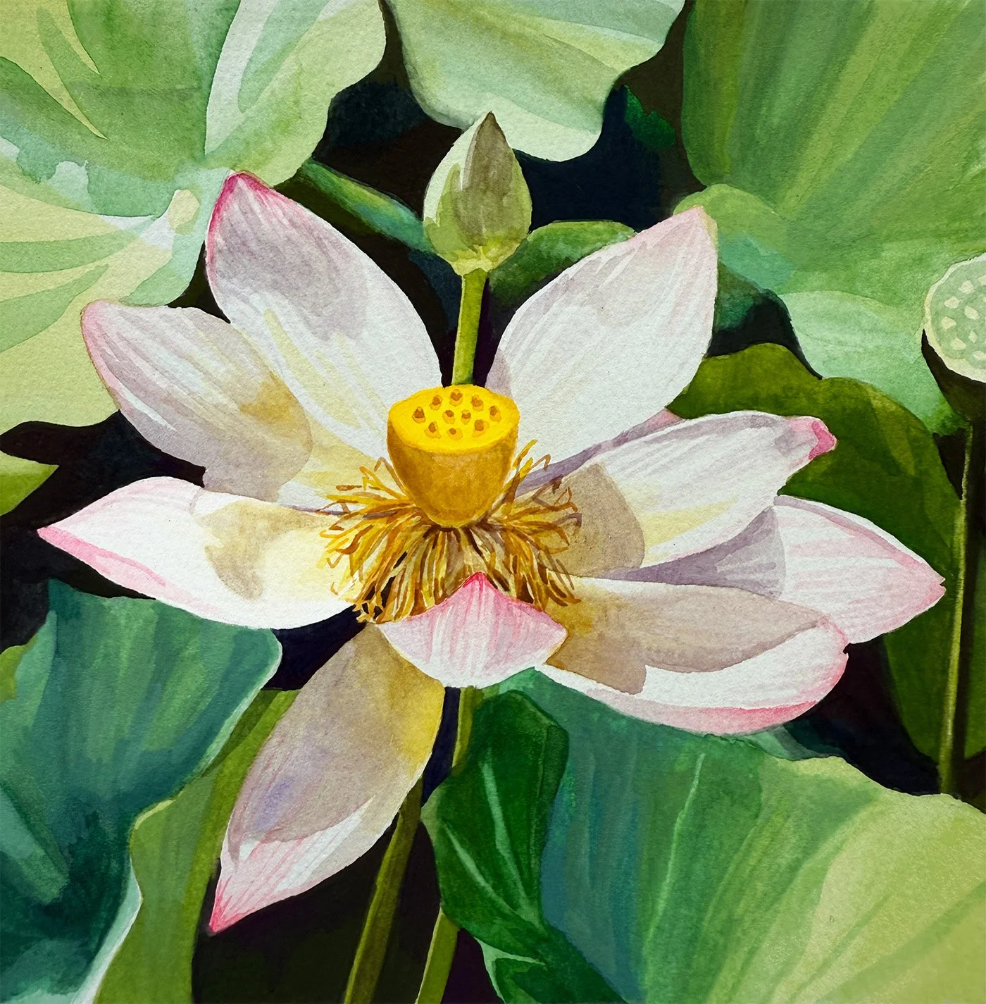 Lotus_Blossom_Small.jpg