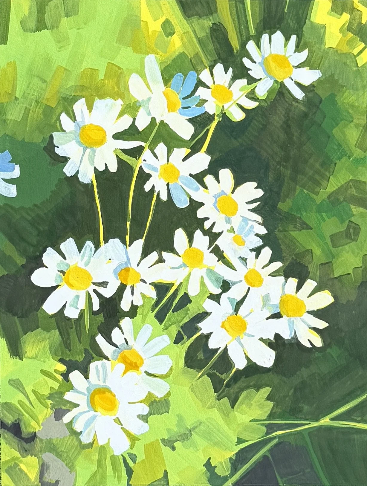 Daisies_03.jpg