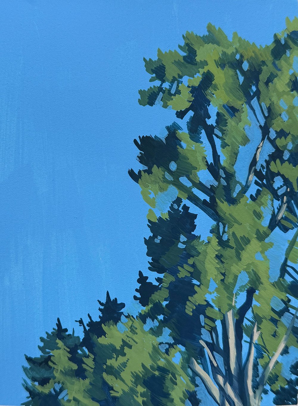 Trees_Sm.jpg
