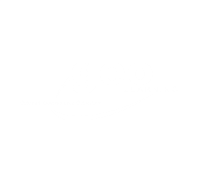 Acquired by Vista Equity Partners, GeoLearning was the leading provider of on-demand learning and performance management technology platforms.