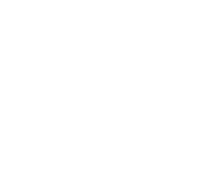 BURSTLOGO.png