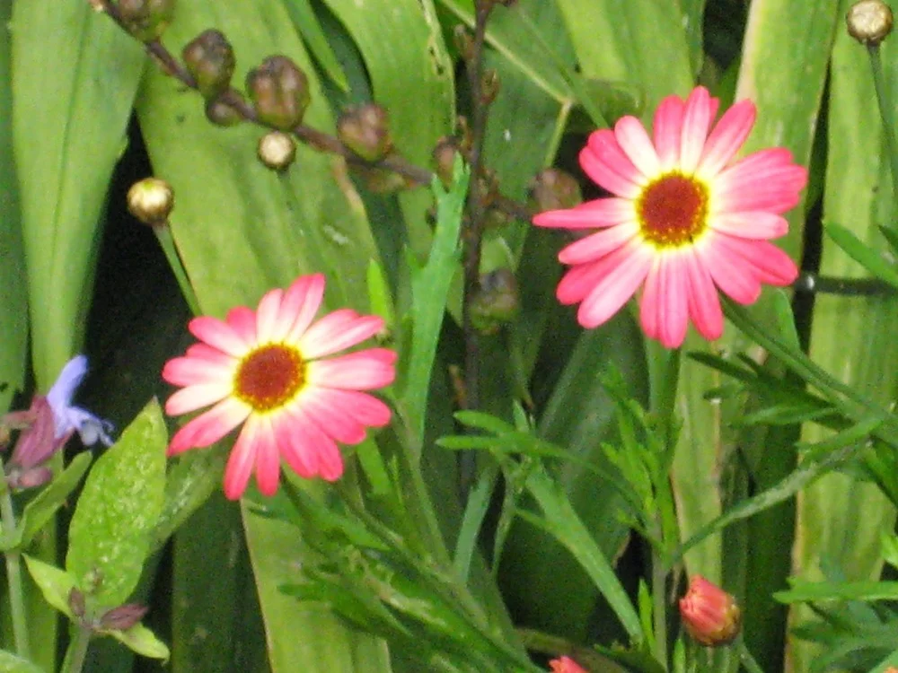 The journey: gratitude