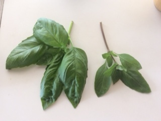 image1.jpeg