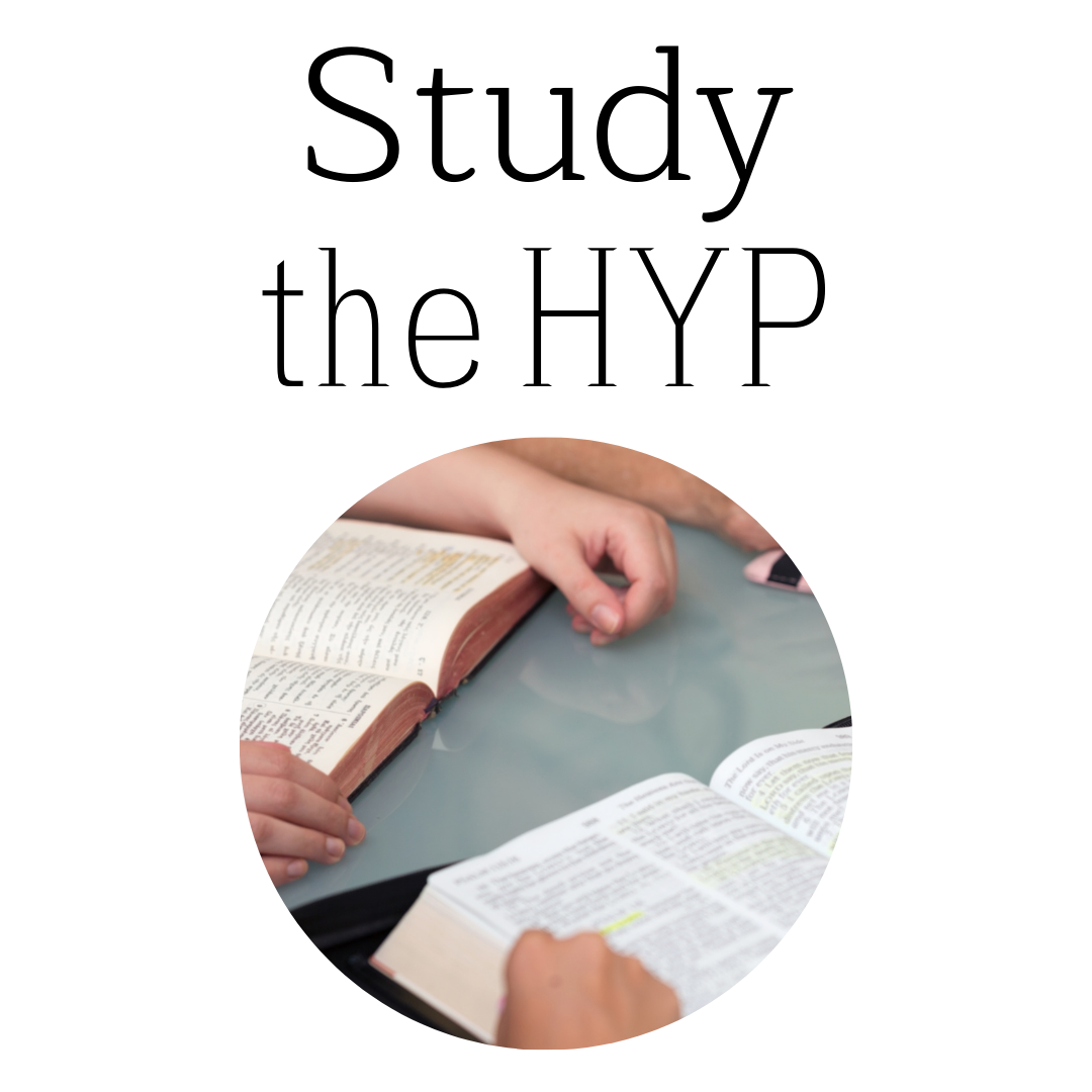 Hatha Yoga Pradikipa Course