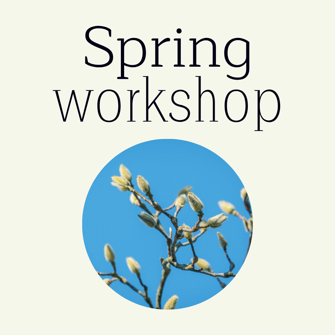 Spring Workshop - Yin, Reiki &amp; Nidra